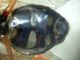 DSC03127.JPG