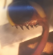 Leuco_zampa.png