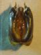 Dolichovespula 010 A.jpg