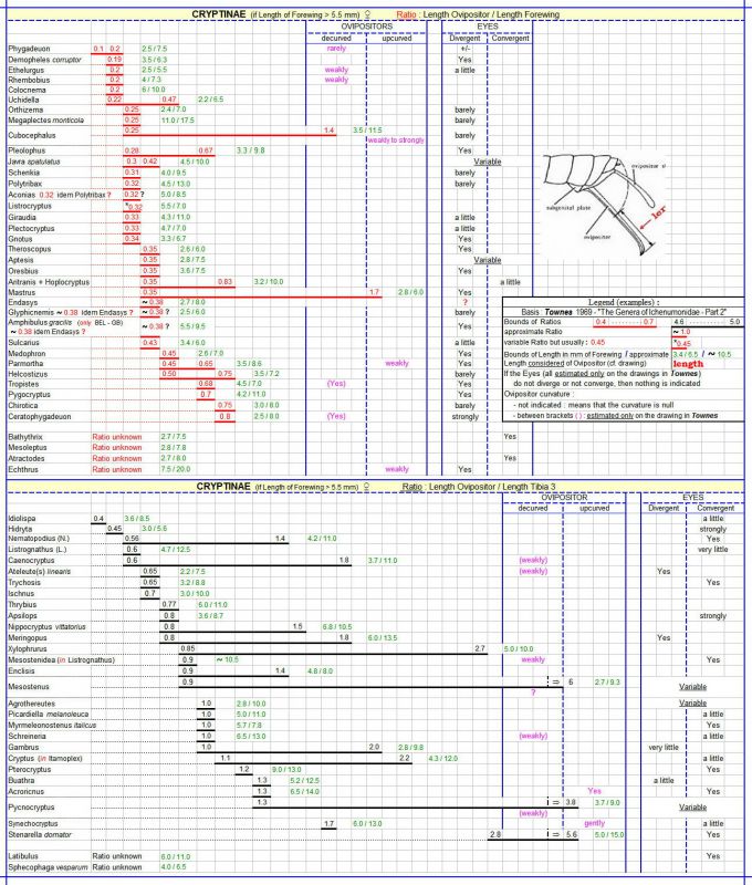 CRYPTINAE F - Long. Ovipositeurs - TOWNES 2 - Image GB au 09.08.20.jpg