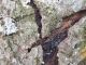 20200811_183714.jpg