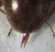 DSCF9048.JPG