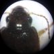 20200906_184142.jpg