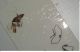 interno pens.jpg
