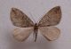DSC03739.JPG