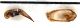 Comb3022-18zL6cr.jpg
