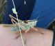IMG_20200923_232205.jpg
