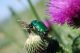 July 1st, 2010, Caian trip-  077.JPG