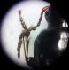 20201003_181030.jpg