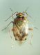 DSC03813.JPG