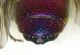 Chrysis_sp.13.FEI.jpg