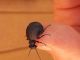 20201014_132253.jpg
