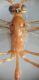DSC03917.JPG