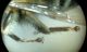 DSC03971.JPG