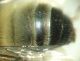 DSC03969.JPG
