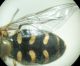 DSC03972.JPG