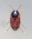 DSC04014.JPG