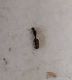 IMG_20201023_175958.jpg