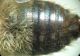 DSC04063.JPG