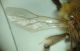 DSC04103.JPG