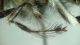 DSC04158.JPG