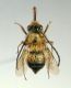 DSC04150.JPG