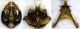 Habropoda_zonatula5.FEI.jpg