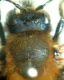 DSC04206.JPG