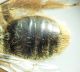 DSC04257.JPG