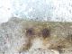 IMG-20201102-WA0012 - 1000.jpg