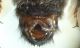 DSC04316.JPG