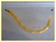 1 larva Therevidae 30 mm - 13.8.2020 - (5).JPG