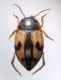 DSC04342.JPG