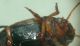 DSC04350.jpg