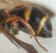 DSC04358.JPG