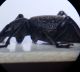 IMG_20201111_163850_6.jpg