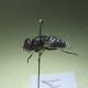 IMG_20201115_121307-min.jpg