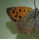 IMG_20201115_122640-min.jpg