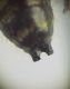 DSCN0021.JPG