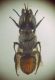 DSCN0810.JPG