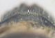 DSCN00135.jpg