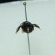 DSC01117.jpg