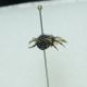 DSC01118.jpg