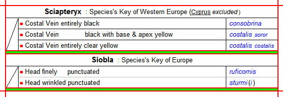 SCIAPTERYX & SIOBLA - Clés des espèces au 23.11.20 - Image.jpg