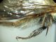 DSC04485.JPG