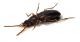 Comb3129-90zL3cr.jpg