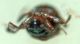 DSC04572.JPG