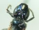 DSC04646.JPG