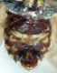DSC04703.JPG