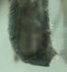 DSC04759.JPG